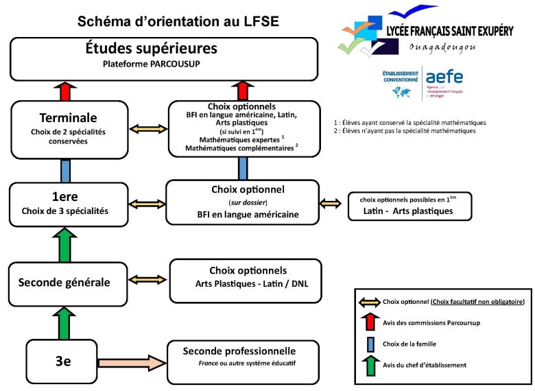 2023-2024 schéma orientation LFSE-V3