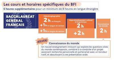 Cours spécifiques BFI